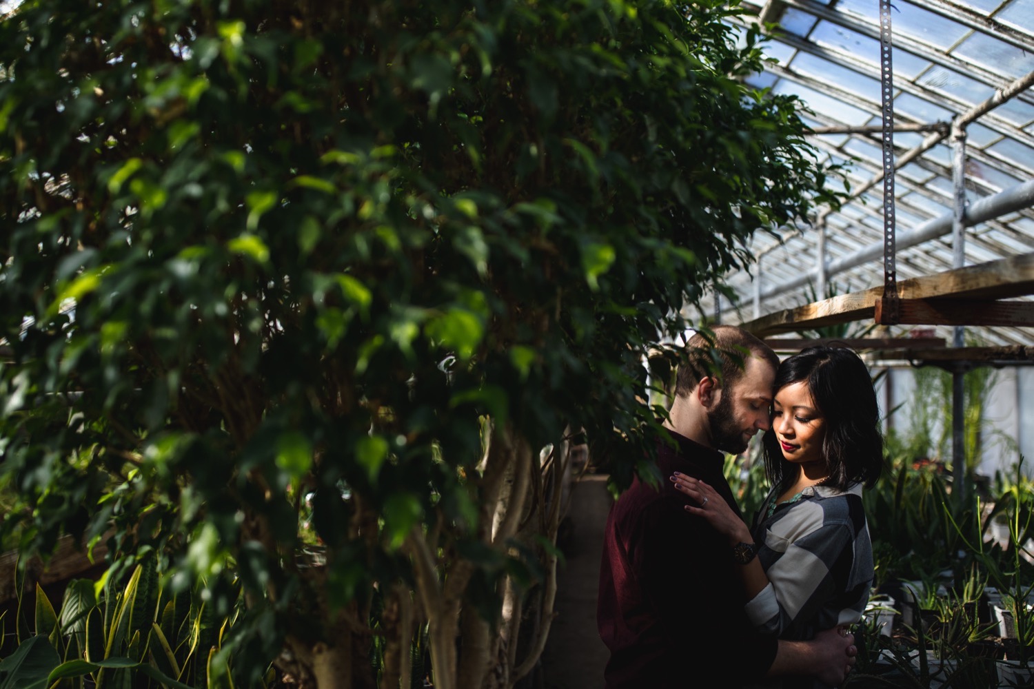 31_388A1489_Atkins_Museum_Engagement_John's_nelson_Kelsey_Kansas_Diane_Photography_greenhouse_City.jpg