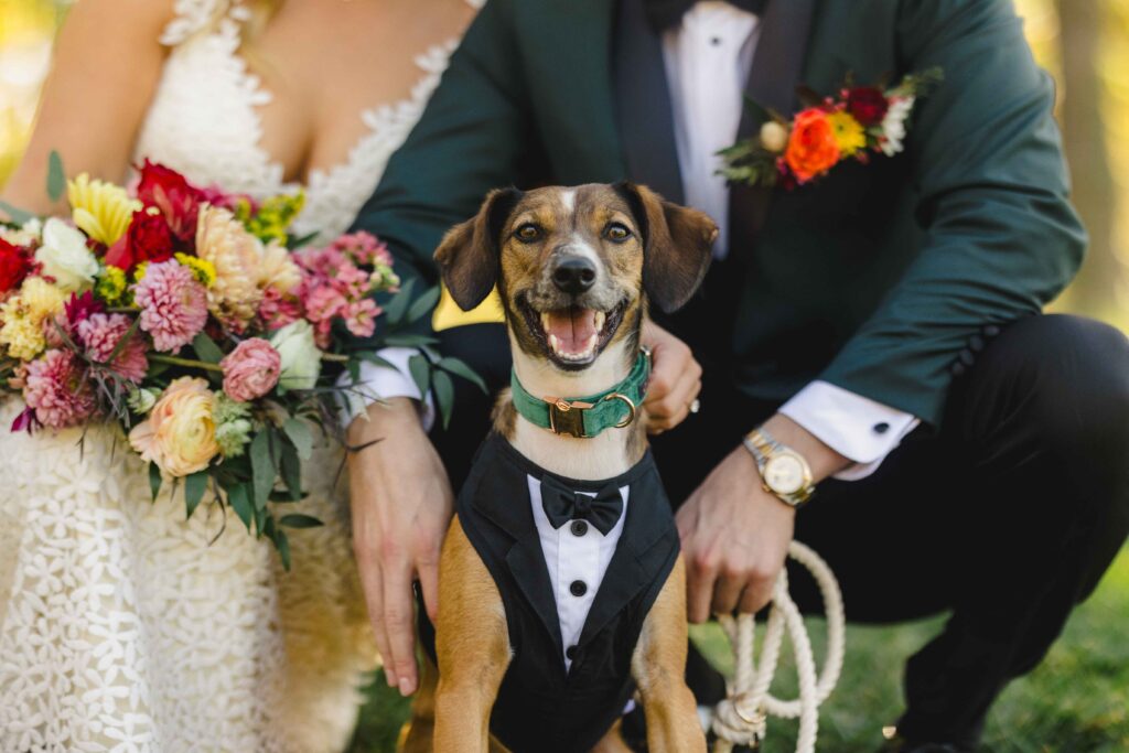 Dog smiling at a wedding with the bride and groom.