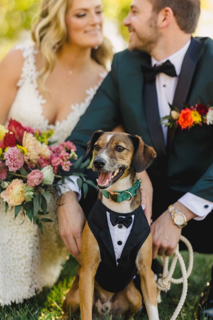 Couple smiling with their dog during their wedding photos with their Kansas City Wedding Photographer.