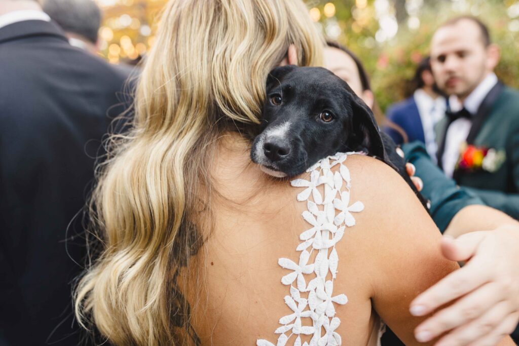 The bride holding a puppy during happy hour at her wedding.