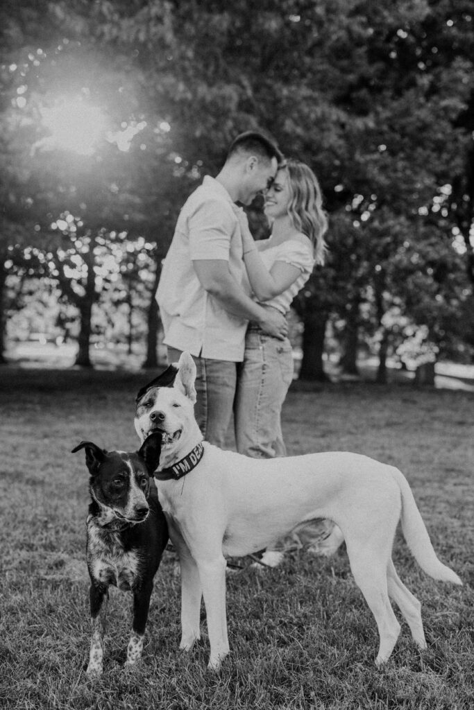 Couple holding each other in the background as their dogs look at the camera.