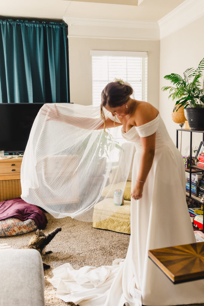 Cat playing with the bride's veil.