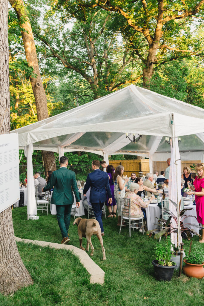 backyard wedding inspiration for ideas for weddings on a budget