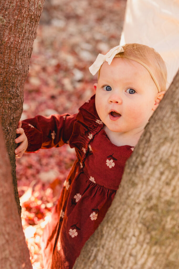A toddler standing in between two tree trunks in a park 