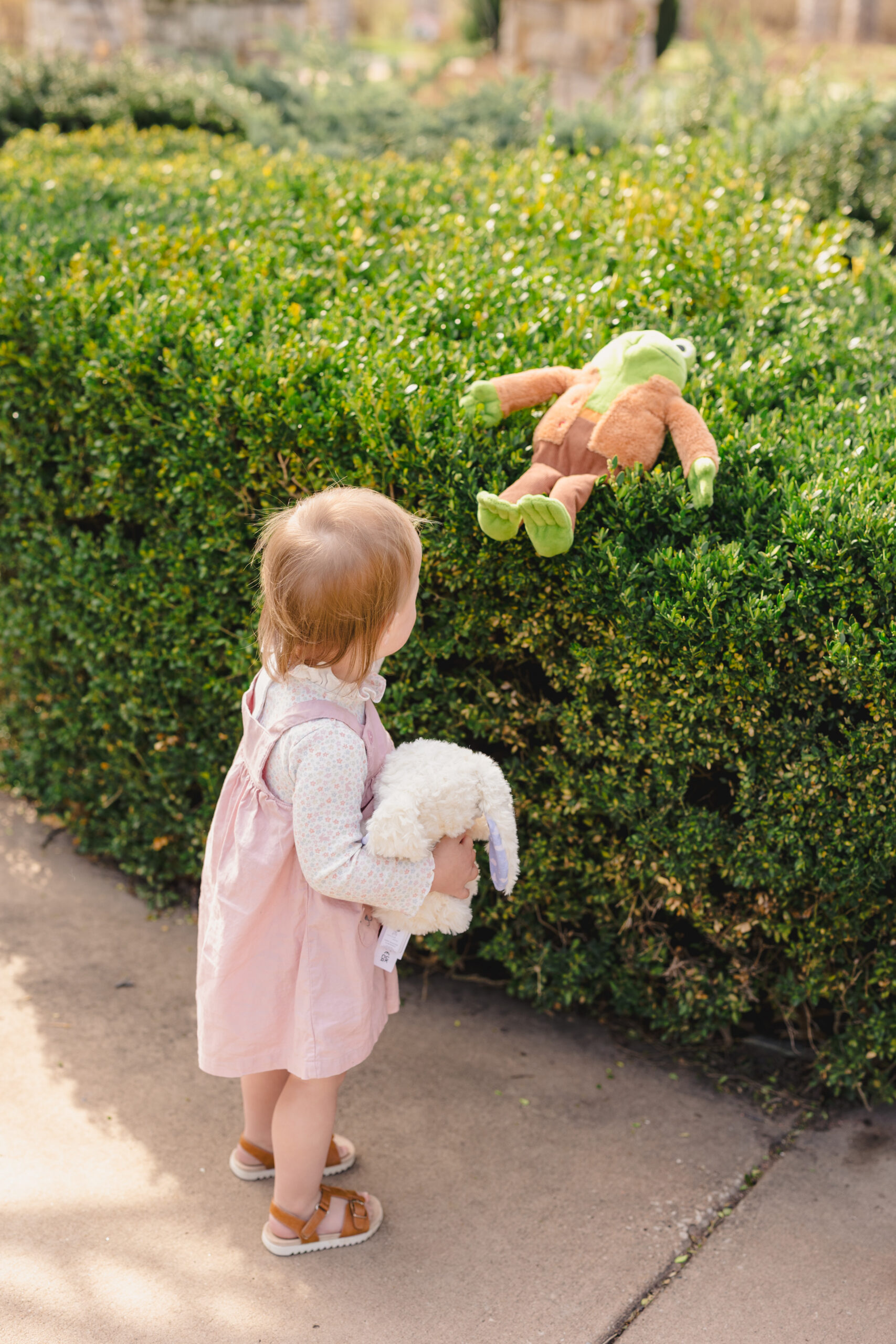 a young toddler holding a lamb stuffed animal and looking at the bushes 