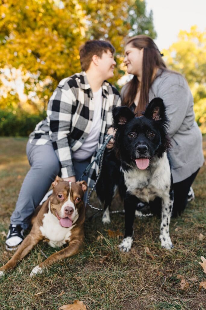 Shawnee Mission Park proposal photography Johnson County Kansas City