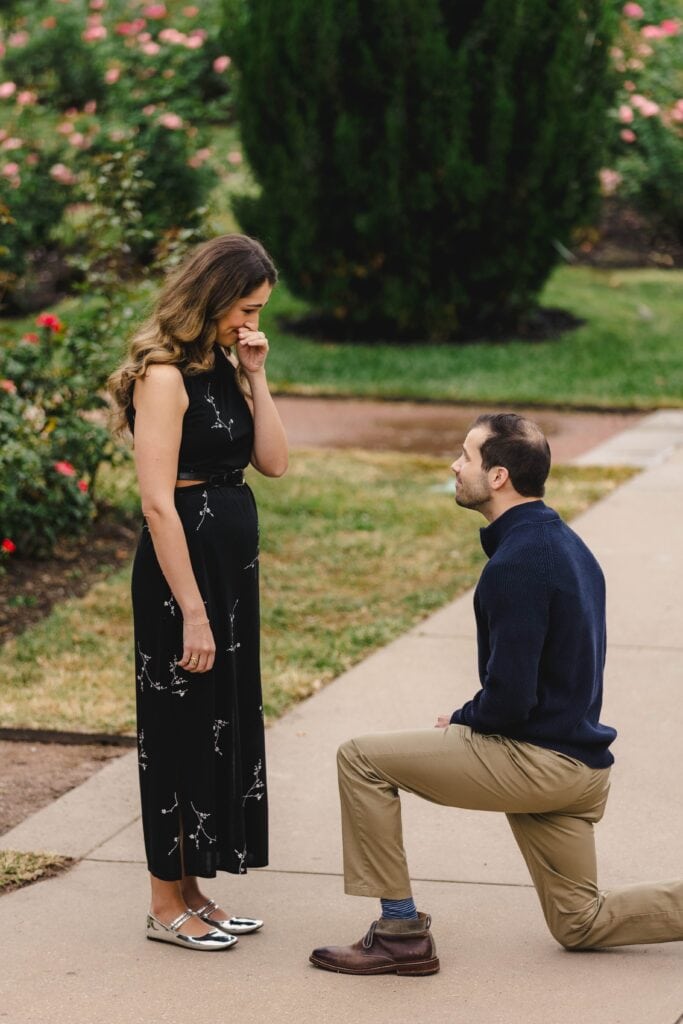 Loose Park proposal photography Kansas City rose garden
